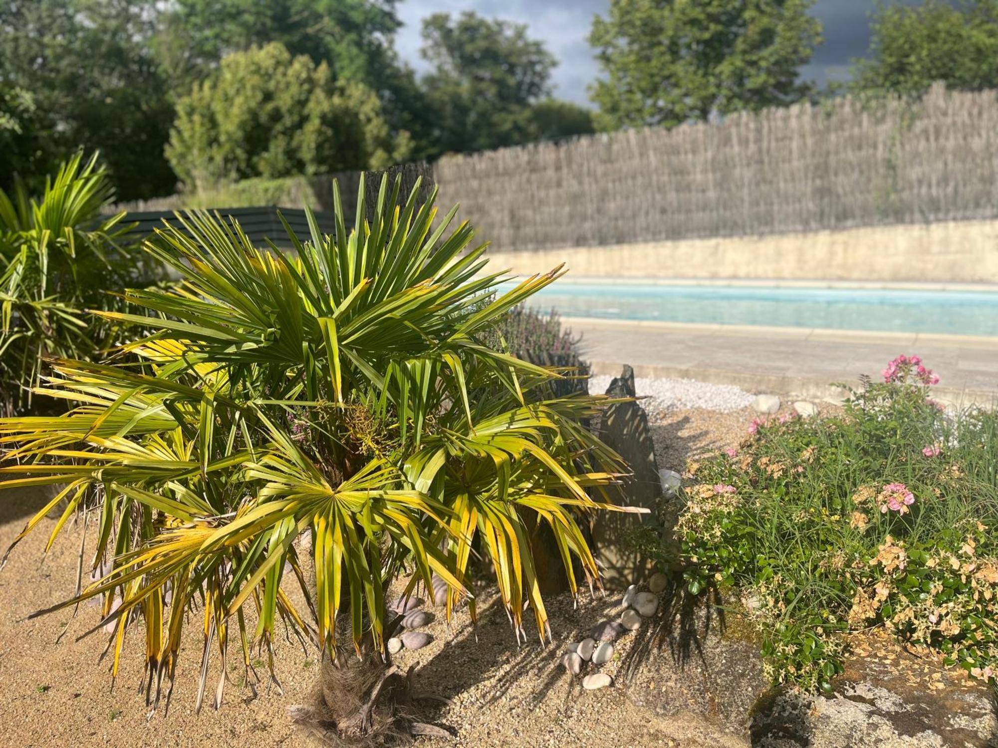 Gite Ben & Nad Proche Du Puy Dufou Saint-Aubin-des-Ormeaux Dış mekan fotoğraf